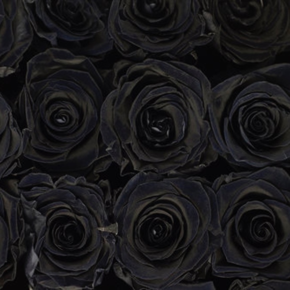 Black Rose Box - Picture 5 of 8